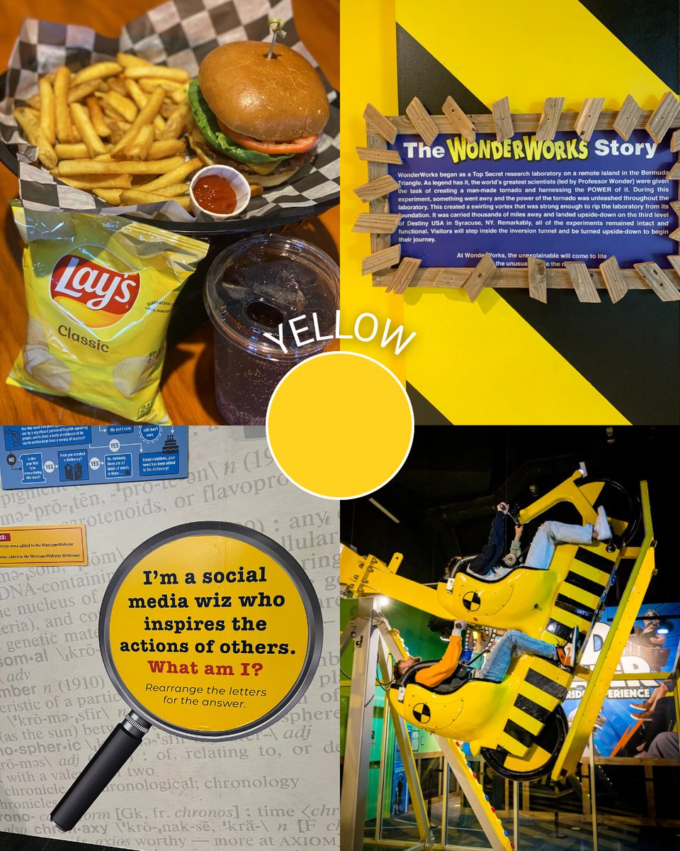 WonderWorks Myrtle Beach tweet media