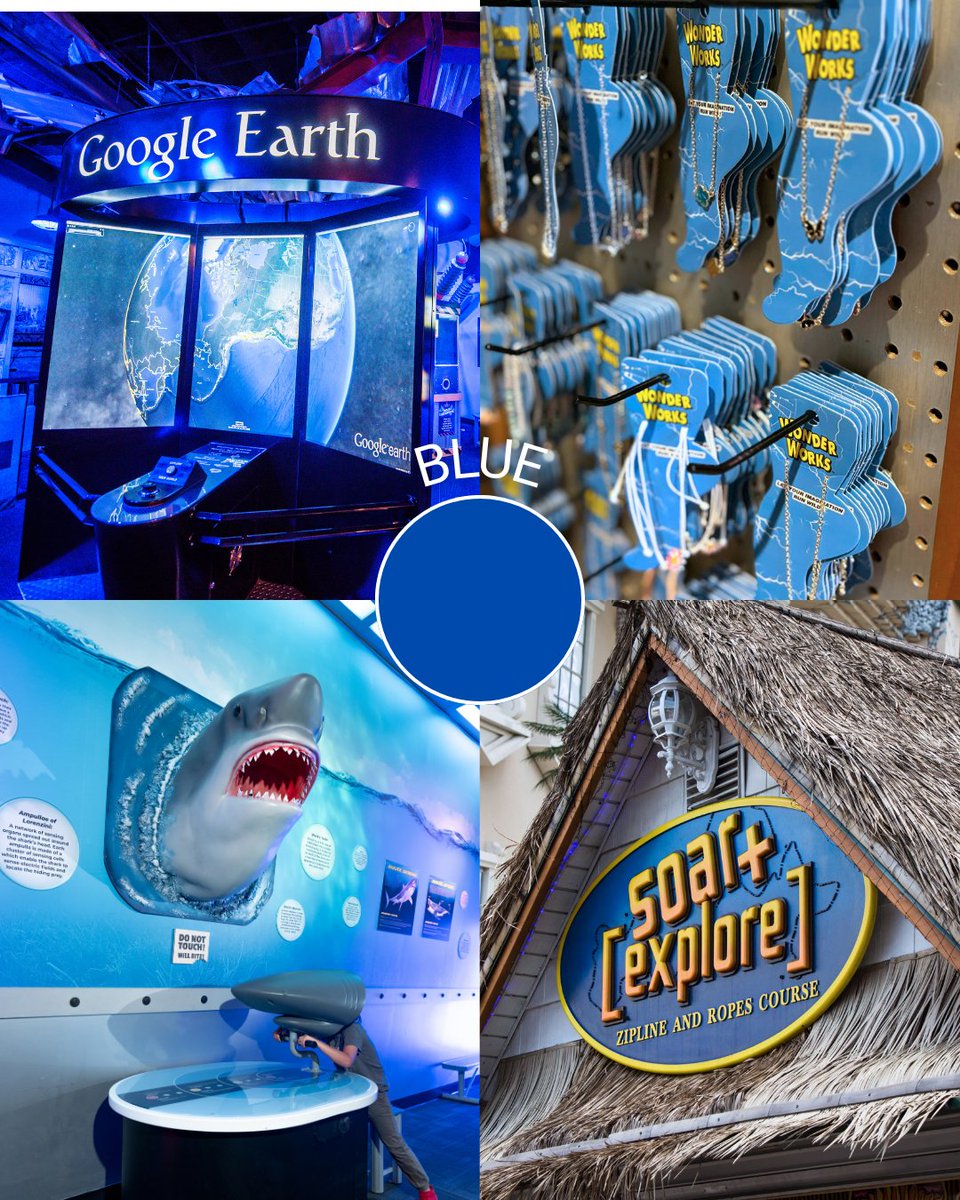 WonderWorks Myrtle Beach tweet media