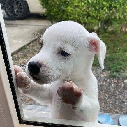 podem ir amigos... podem ir aproveitar a sexta feira eu fico aqui em casa...