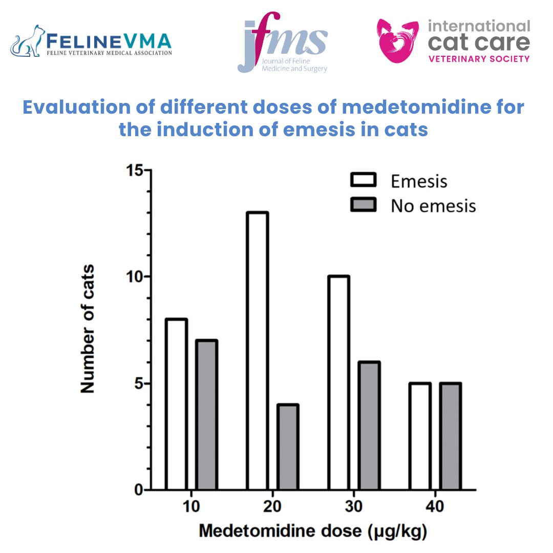 Feline Veterinary Medical Association tweet media