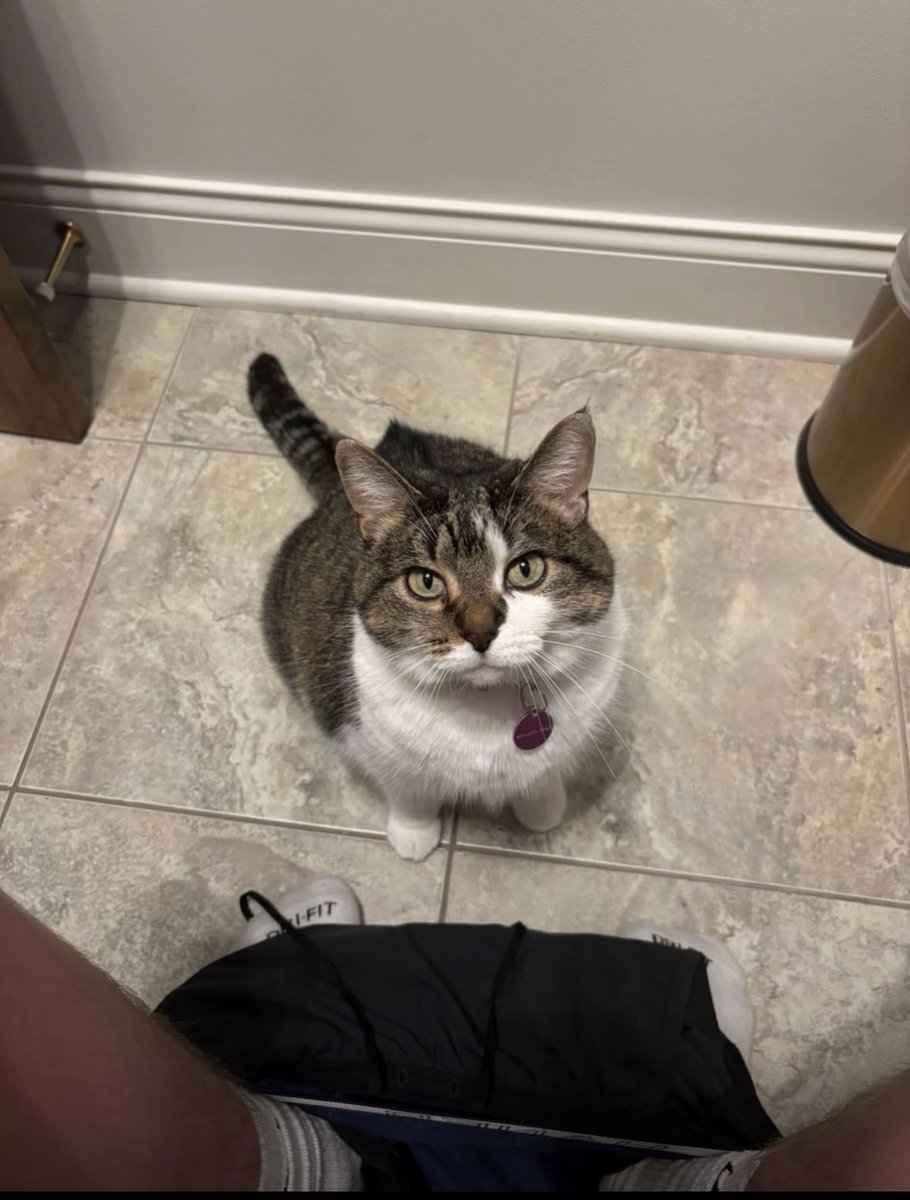 Emmanuel chukwuemeka 🔌 ⚡ (@emmydollar0) on Twitter photo 