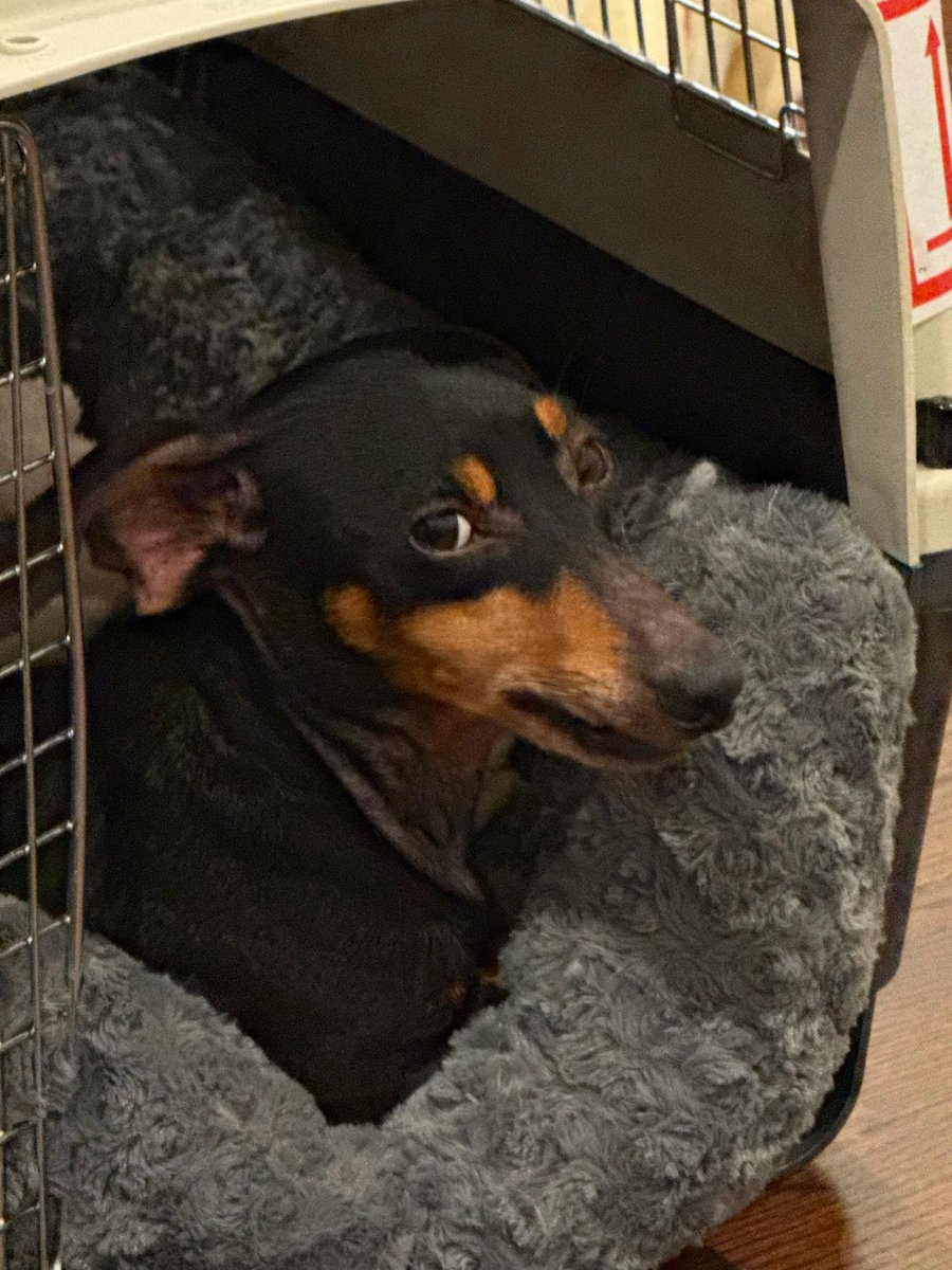 Doki 🏆 tweet media