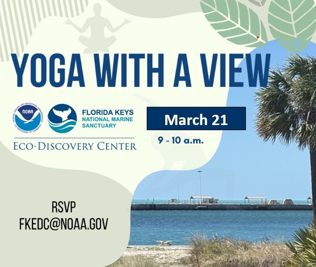 NOAA Florida Keys NMS tweet media