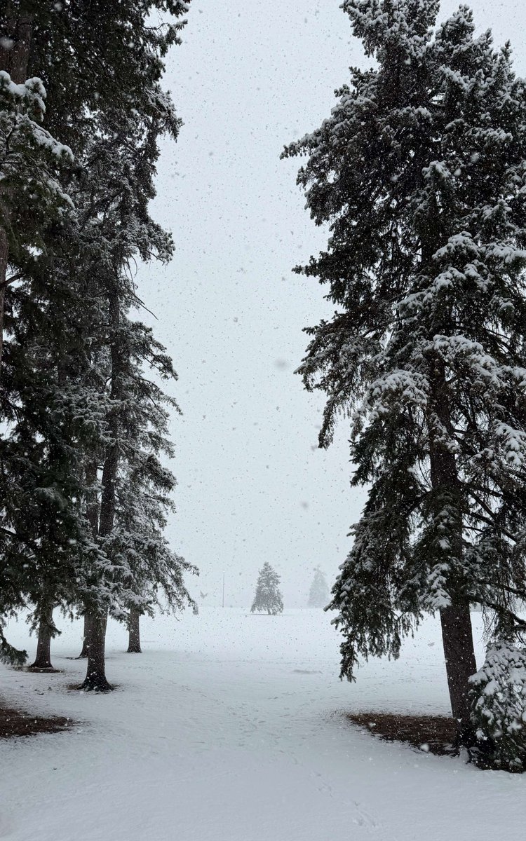 Denver Westword tweet media