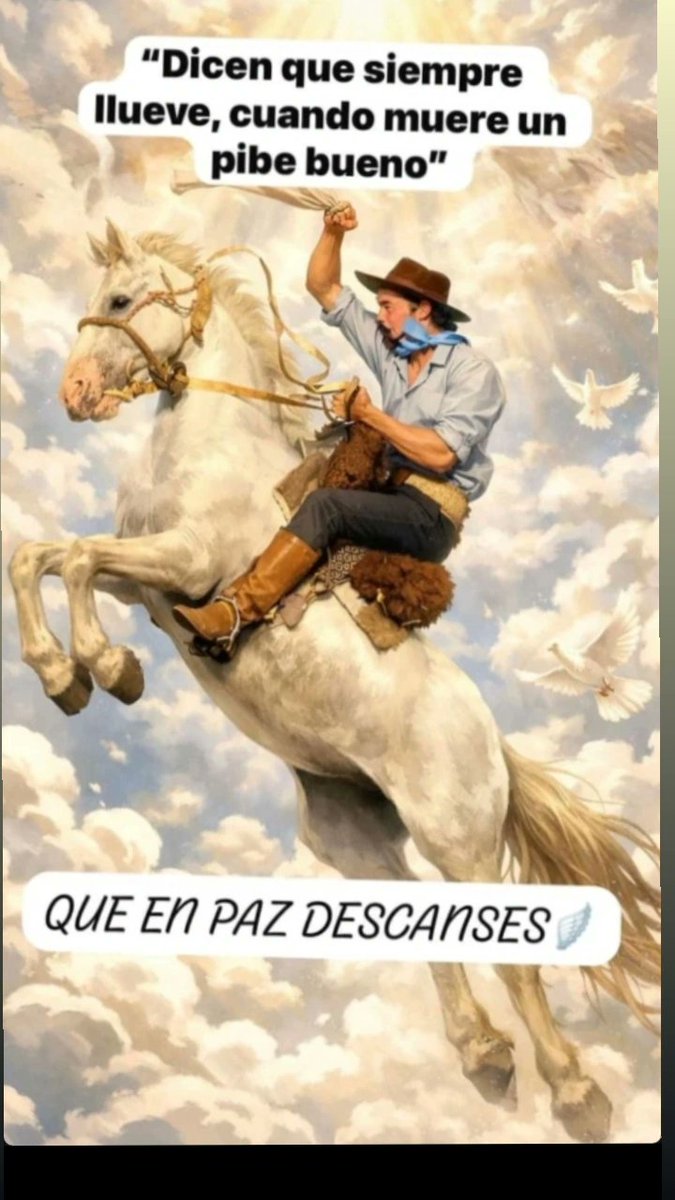 Vuela alto paisano! 🕊