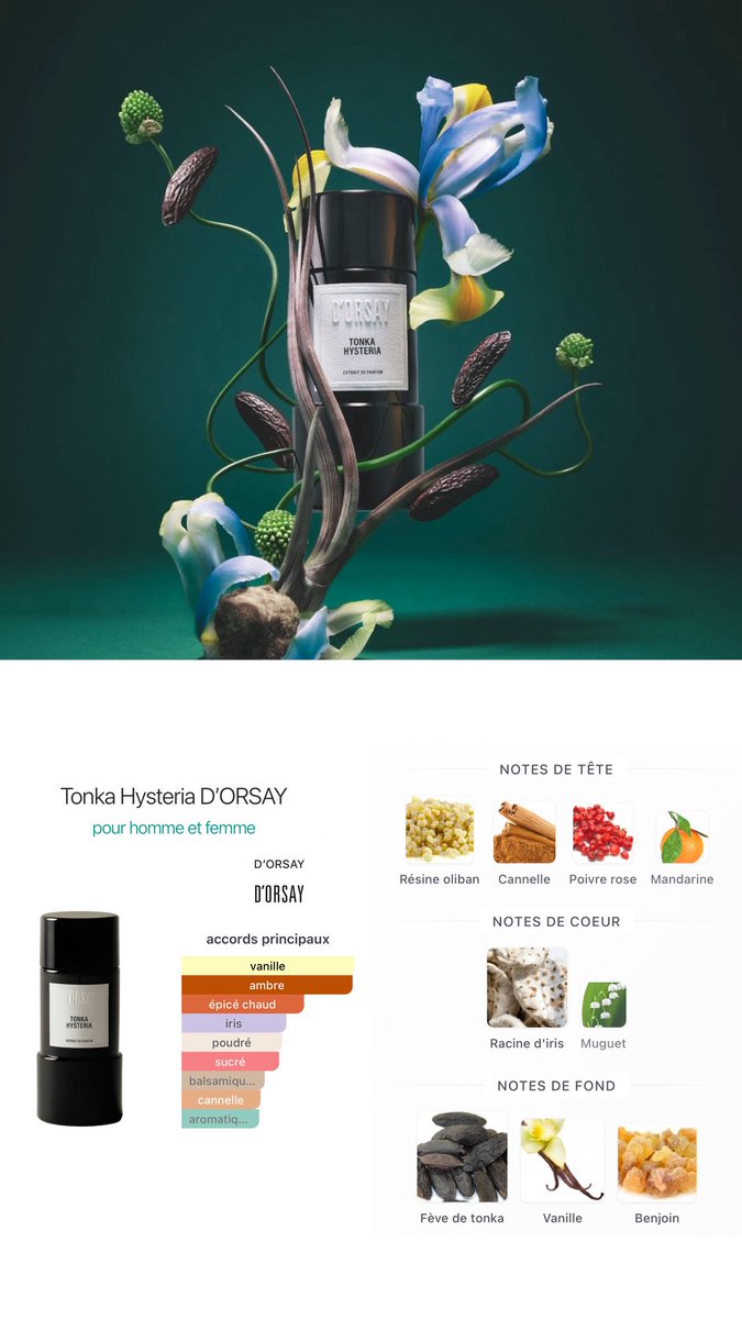 Le Parfumeur 🌴 tweet media