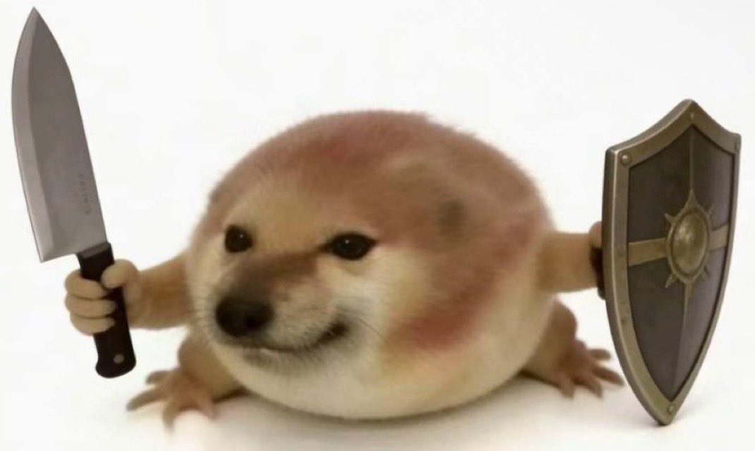 Syal🐉 tweet media