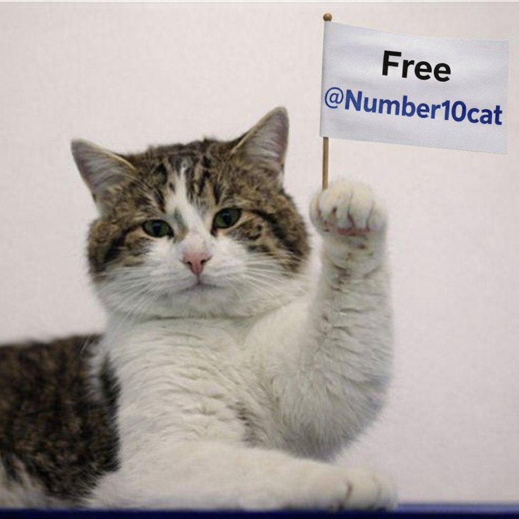 Vince. Insanitas Mundi. #VoteLabour🌹 tweet media