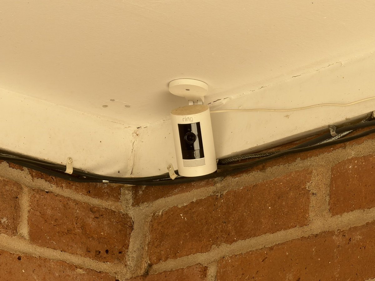 Brian Entin tweet media