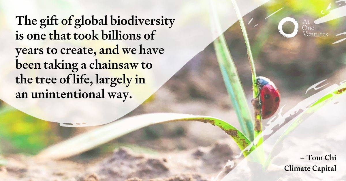 At One Ventures tweet media