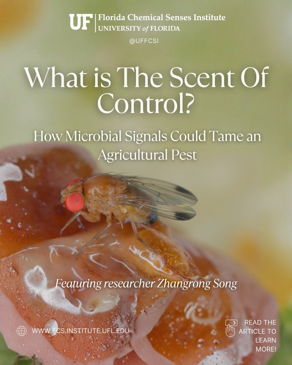 UF Florida Chemical Senses Institute tweet media