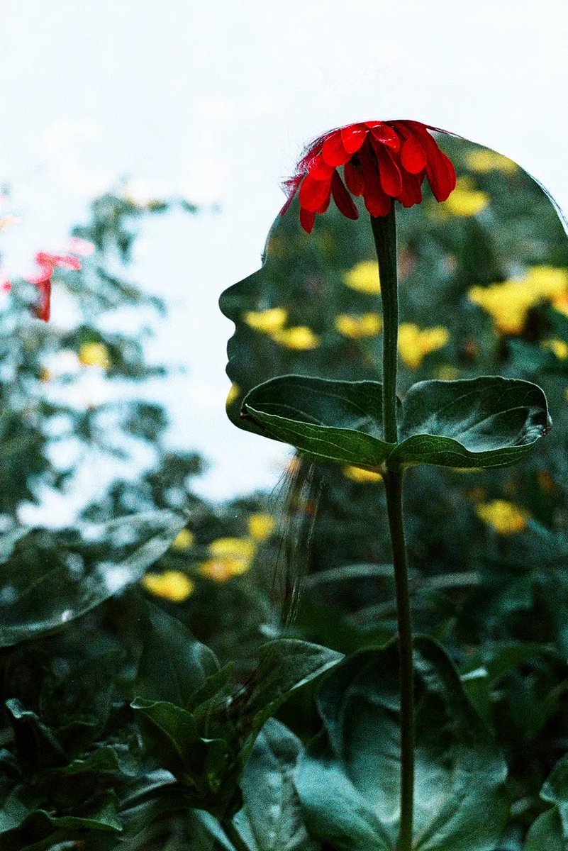 One of the most fav double exposures I’ve ever captured on film.