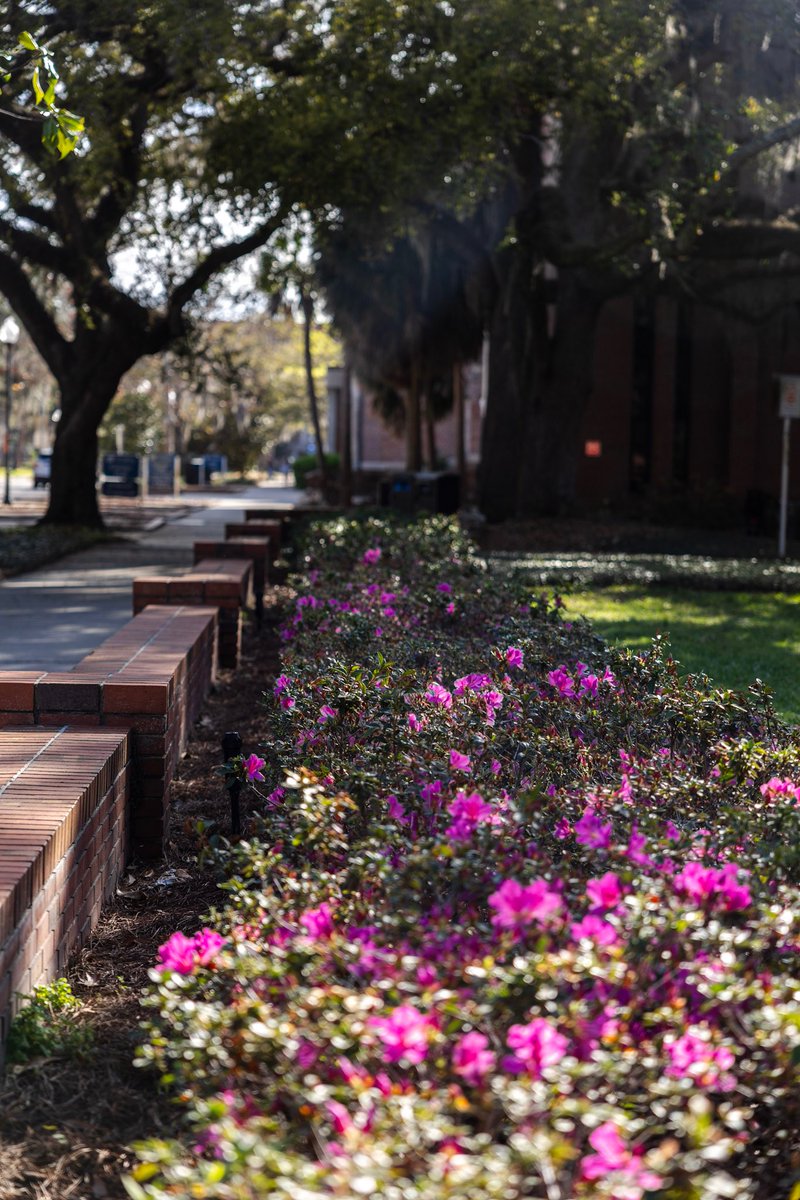 UF Facilities Services tweet media