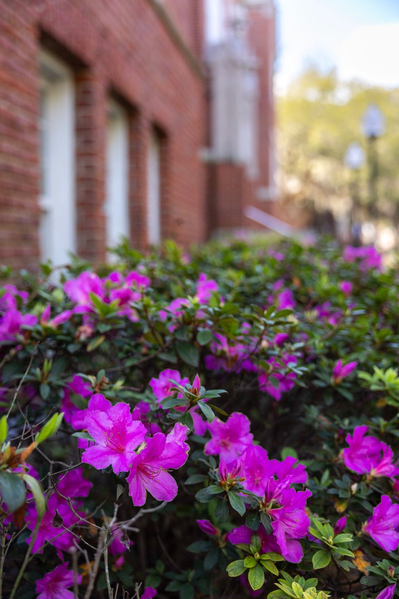 UF Facilities Services tweet media