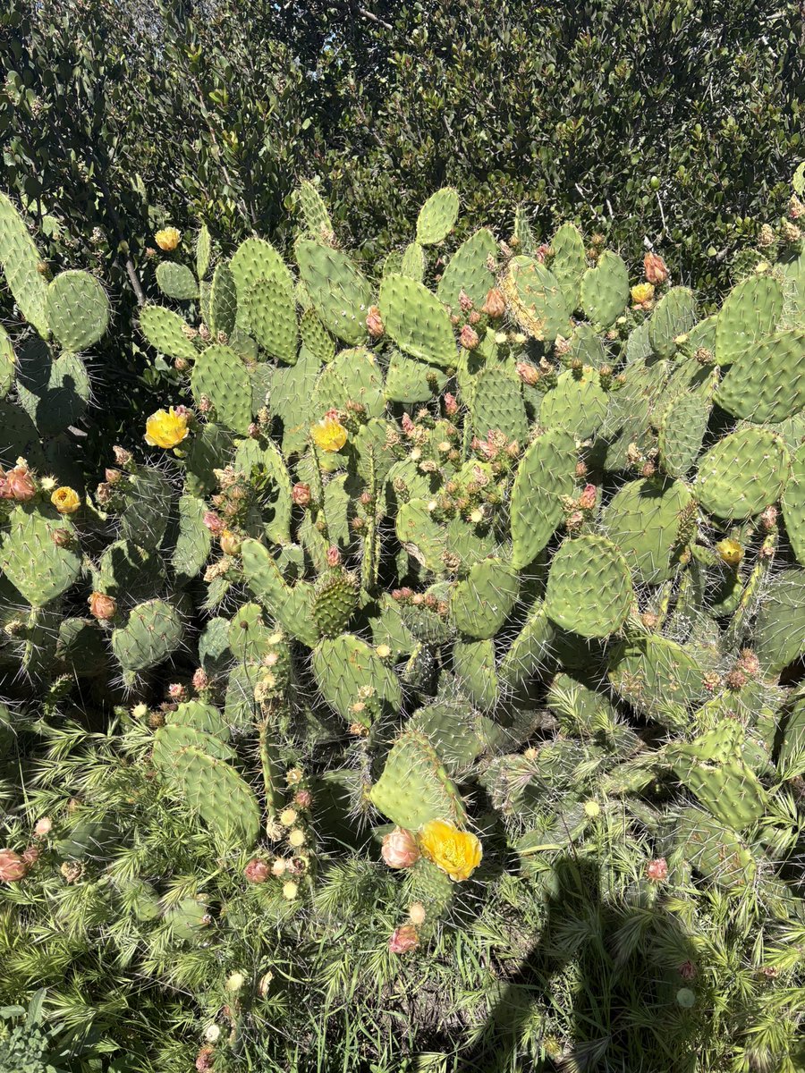 Buzz Patterson tweet media