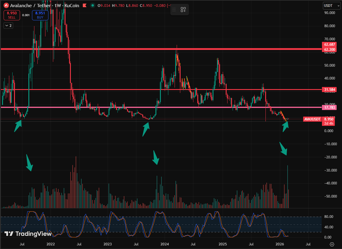 SandmanAvax🔺 tweet media