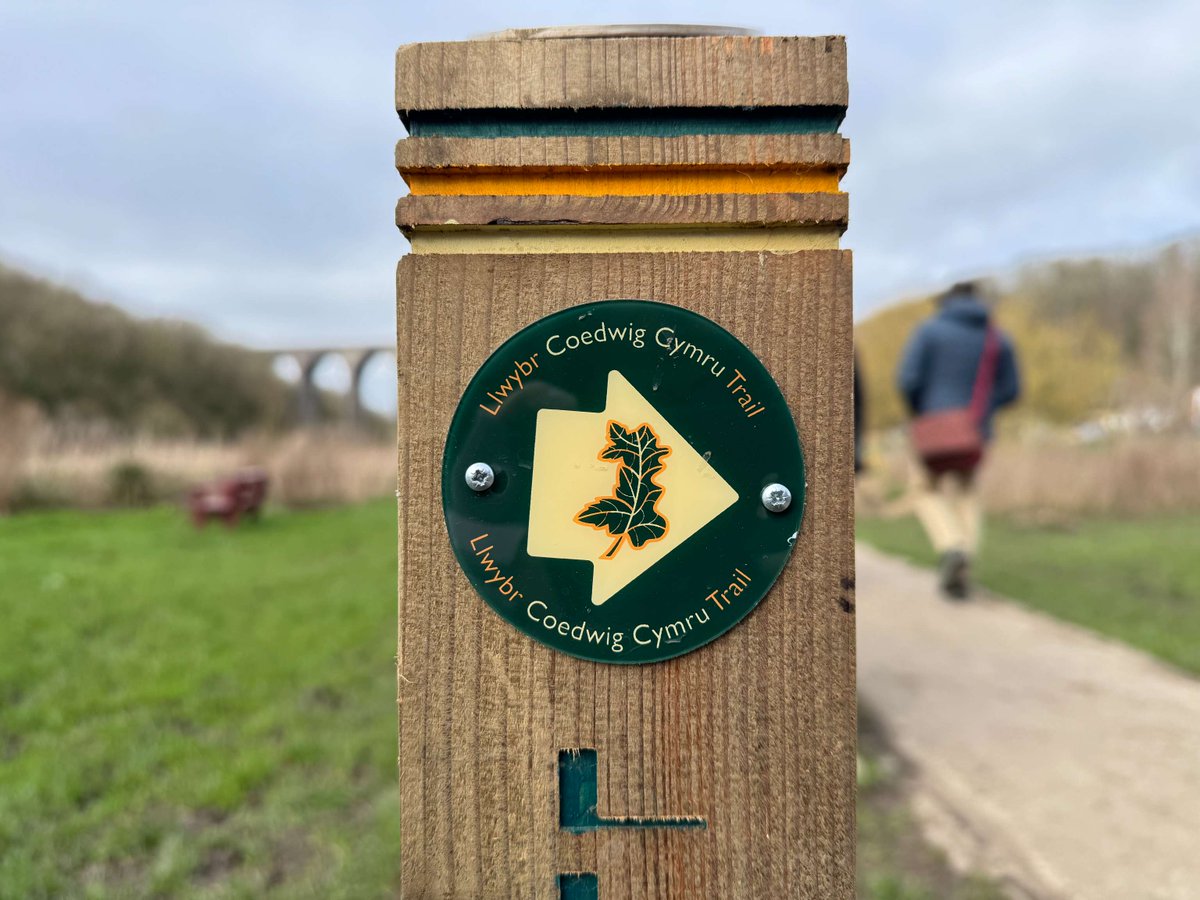 This is Cymru Wales tweet media