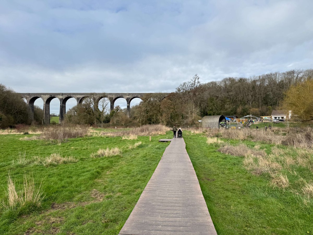 This is Cymru Wales tweet media