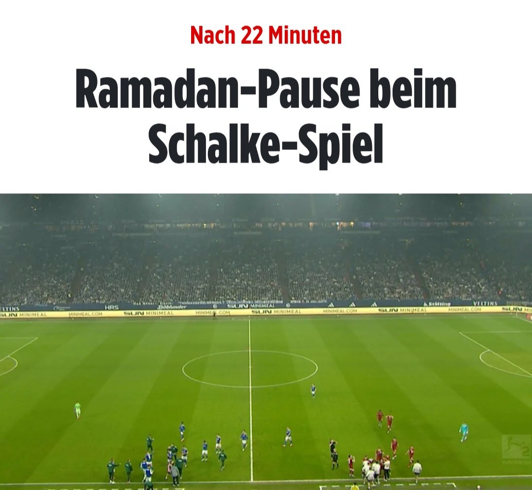 Christine Anderson tweet media