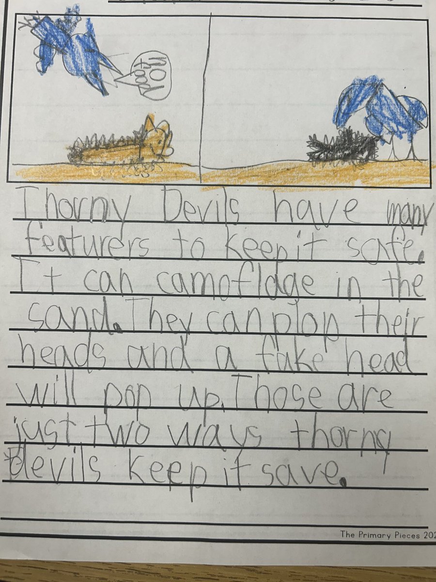 Sarah Oberle, Ed.D. tweet media