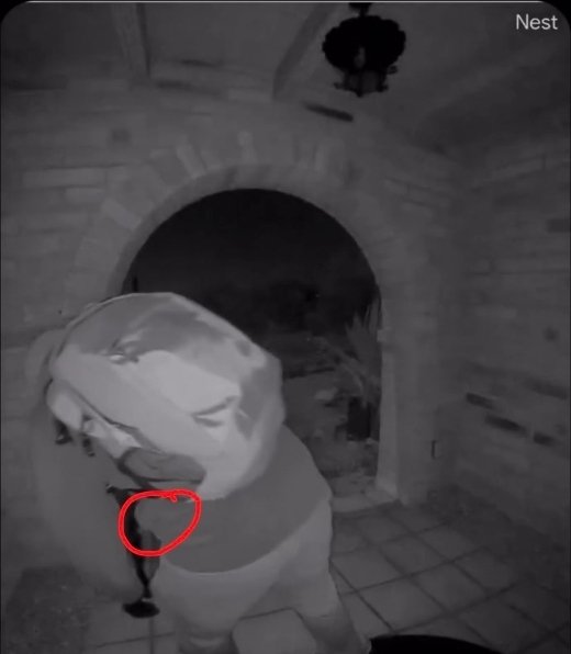 Jennifer Coffindaffer tweet media