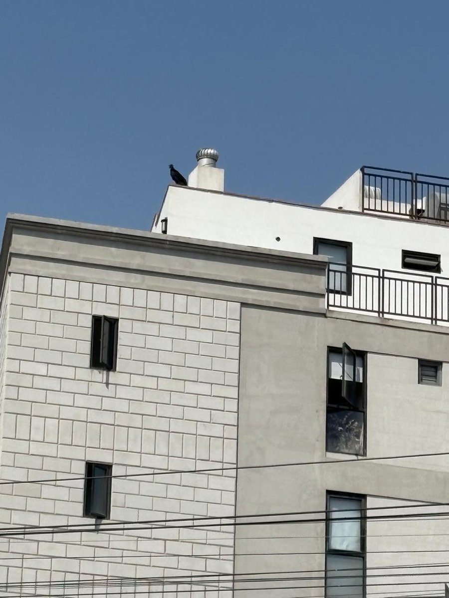 Jorge Luis Cruz tweet media