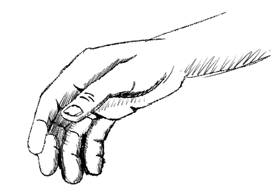 Xenderman tweet media