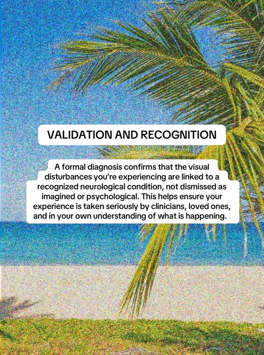 Visual Snow Initiative tweet media