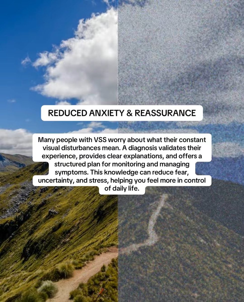 Visual Snow Initiative tweet media