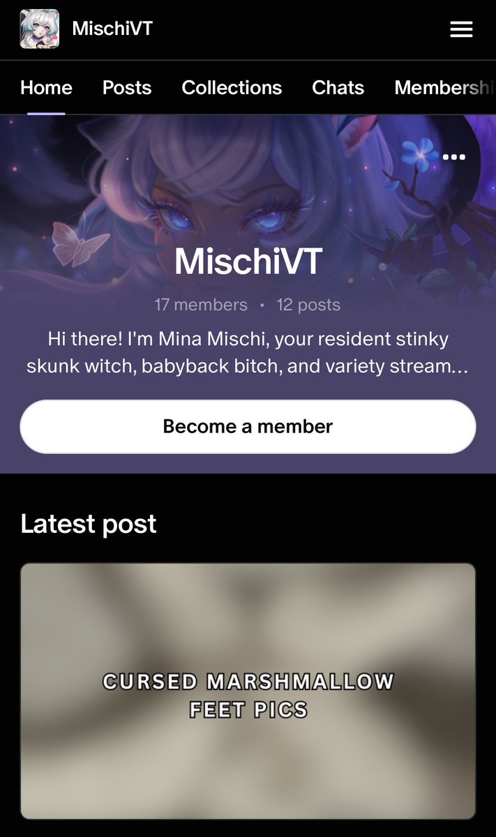 Mina Mischi🦨✨ Skunk Witch & Babyback Bitch Vtuber tweet media