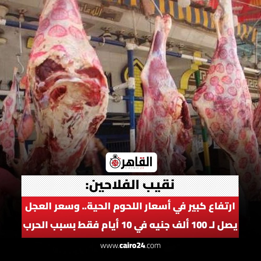 THE WOLF OF TASI ™ tweet media