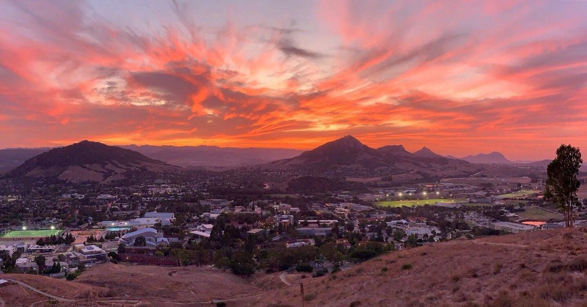 Cesar Vargas tweet media