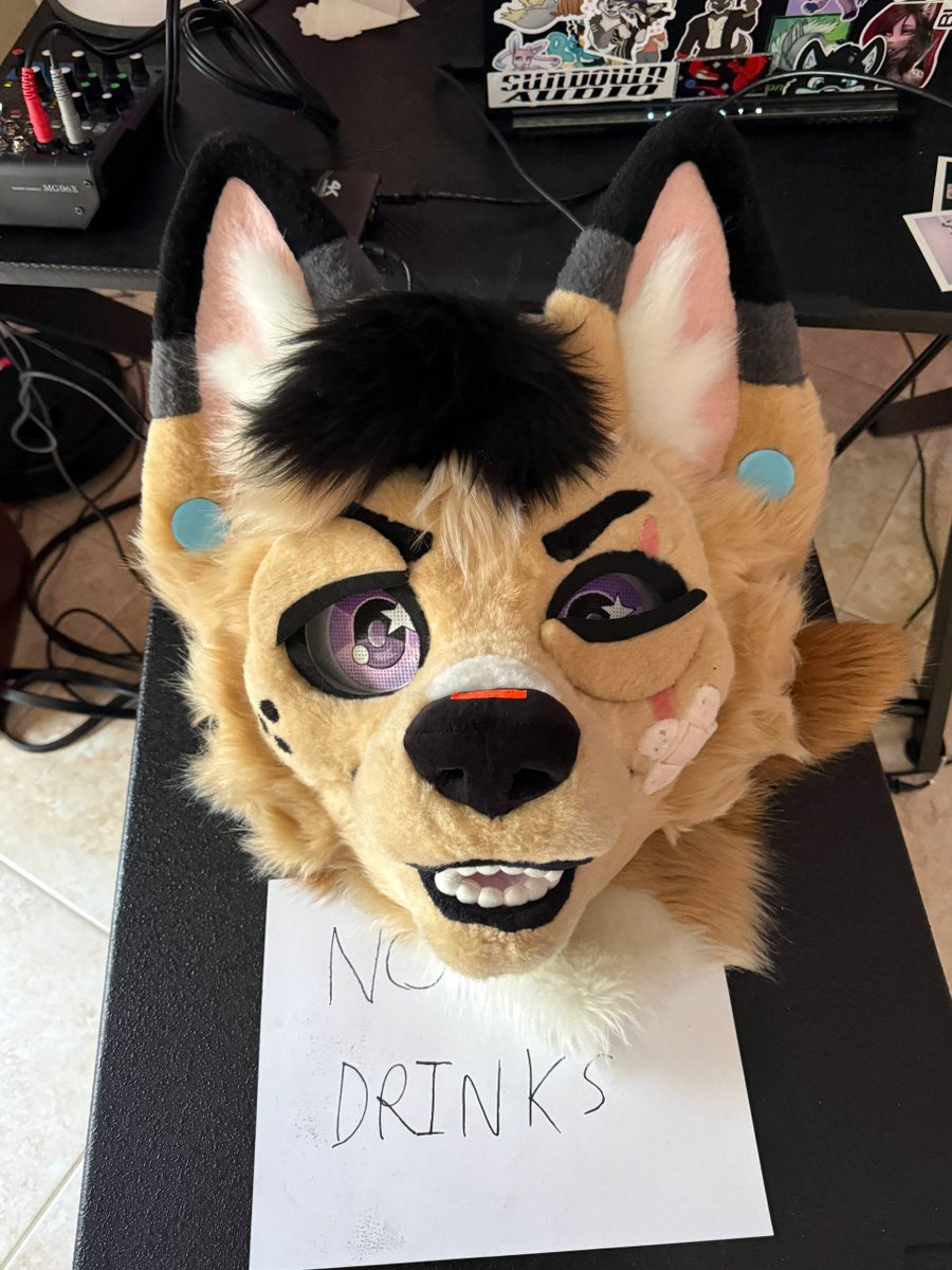 Kino! 🔜 FE, TFF, LVFC tweet media