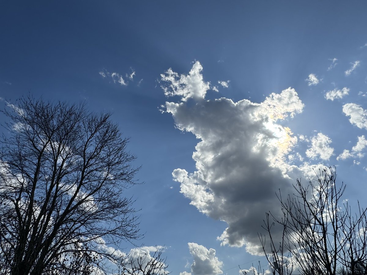 Michelle tweet media