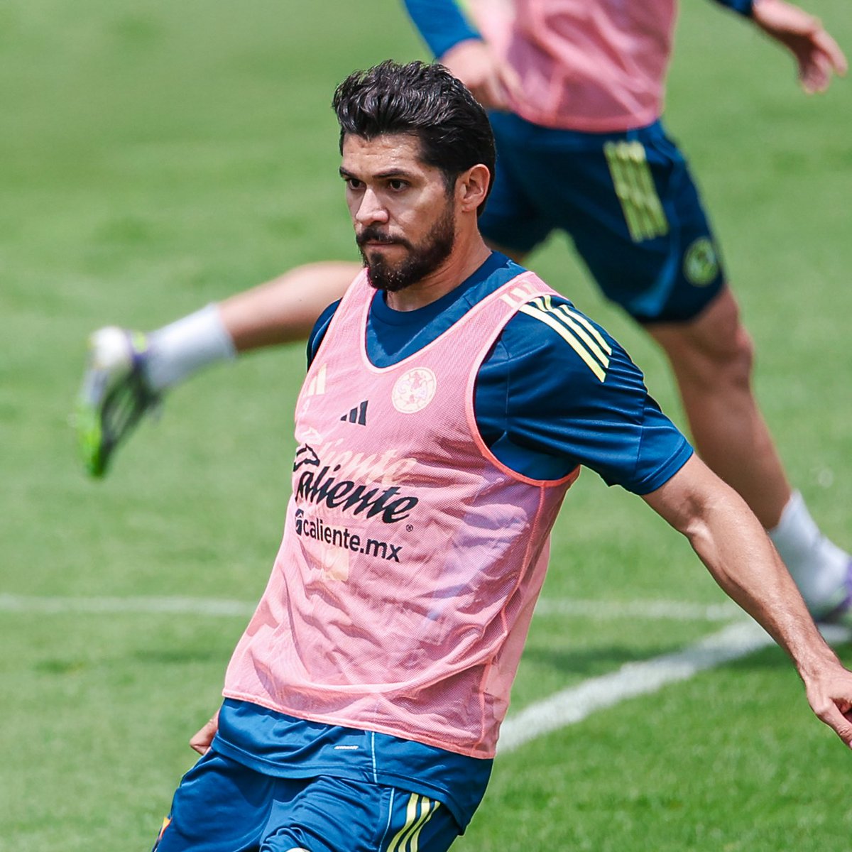 Resaca Americanista tweet media