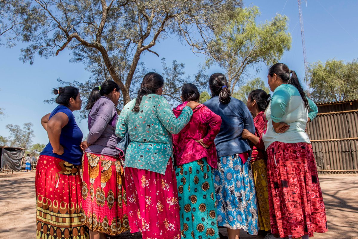 SECU_UNDP's tweet photo. Looking ahead to #IWD2026, SECU highlights the third #UNDP SES programming principle: Gender Equality and Women's Empowerment. Through our compliance investigations, #SECU helps ensure that these commitments are upheld at every stage of the development process. https://t.co/ZQZK7DIQe5