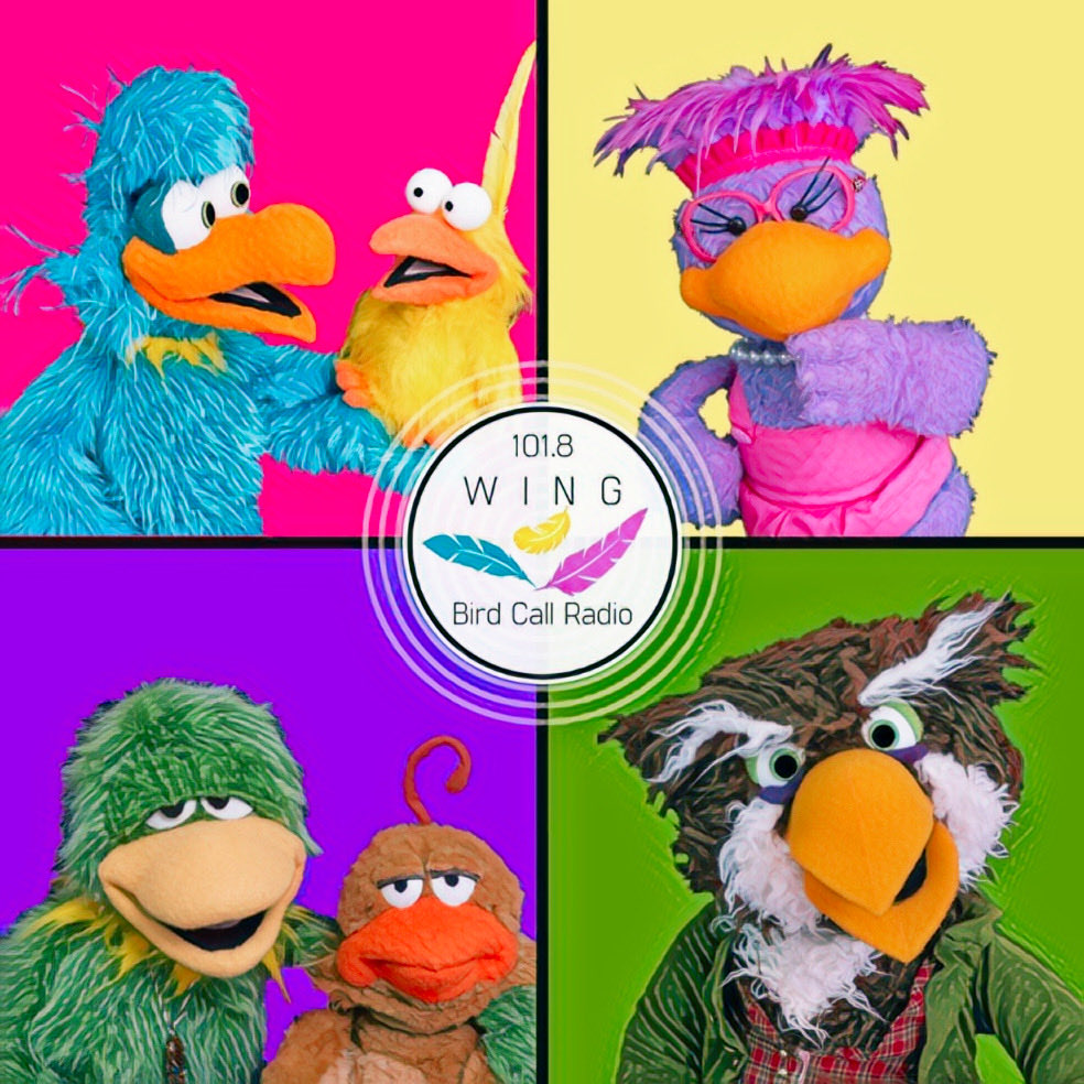 Bird Call tweet media