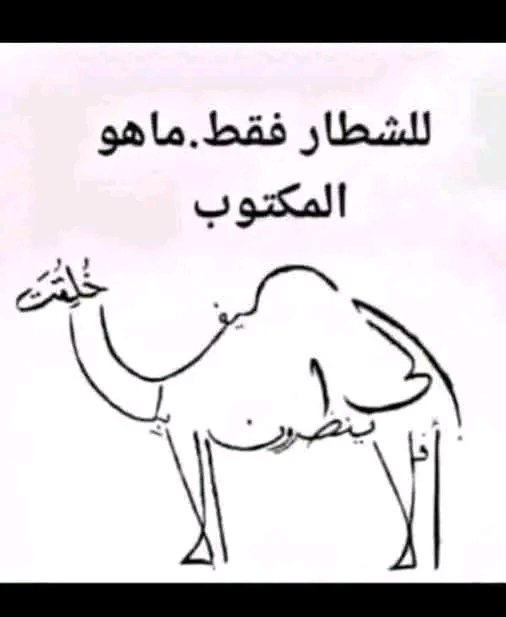 ((( مـــــــــلاذ الـــــســـــــعادة))) 🌻🌻؟؟؟؟ tweet media