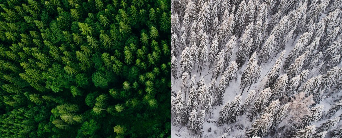 Weizmann Canada tweet media