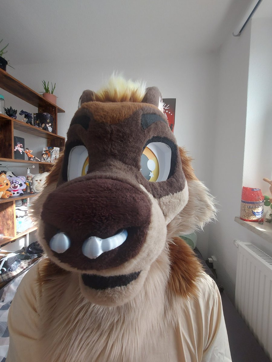 Paulley🦝💛 tweet media