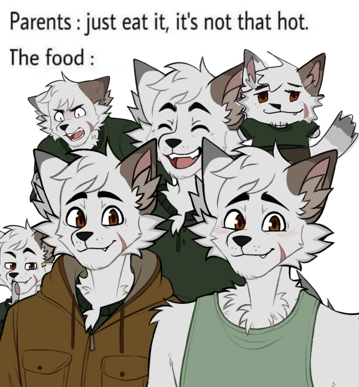 Daily Theo tweet media