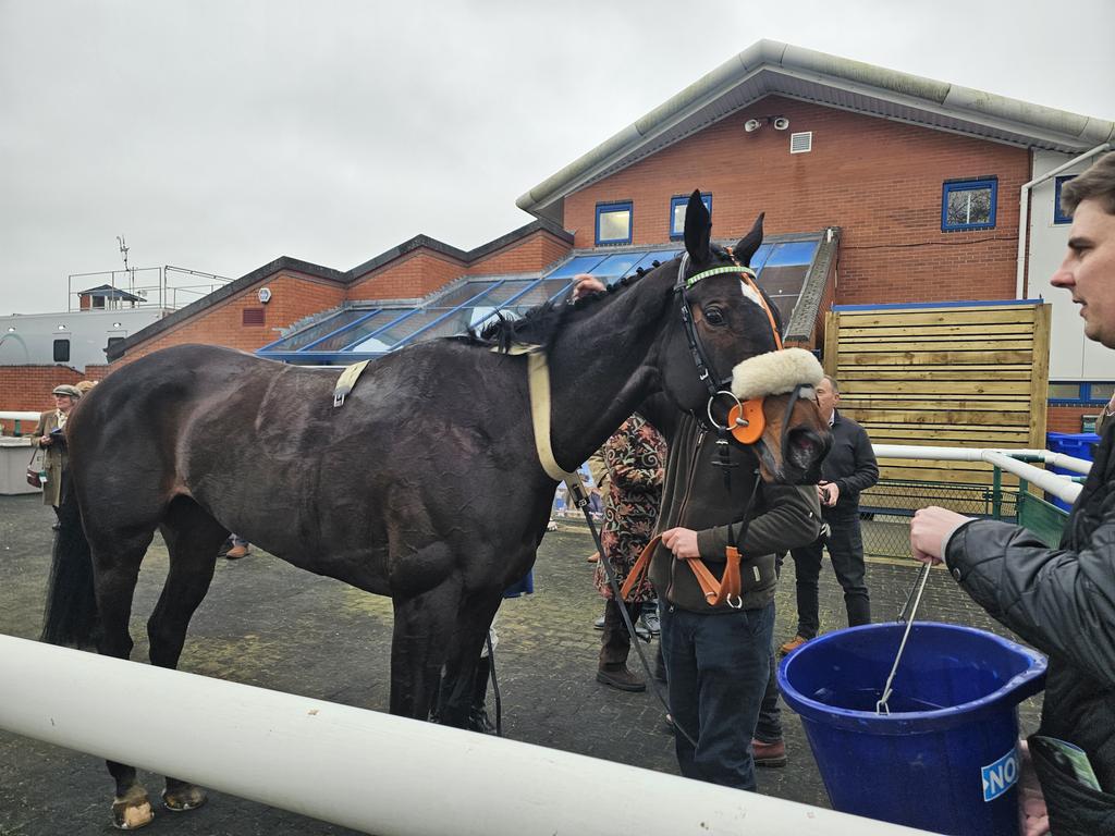 Mike Parcej tweet media