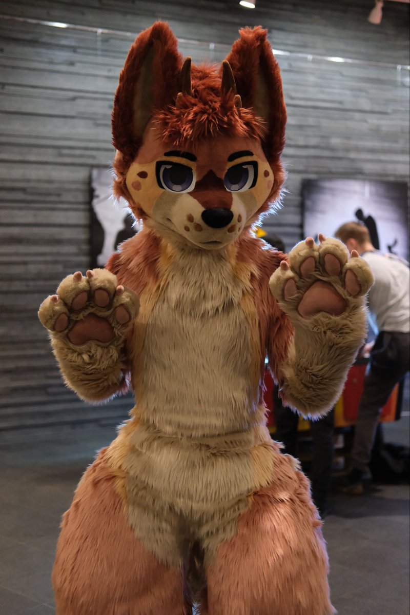 Ce 🔜AWOO26 tweet media