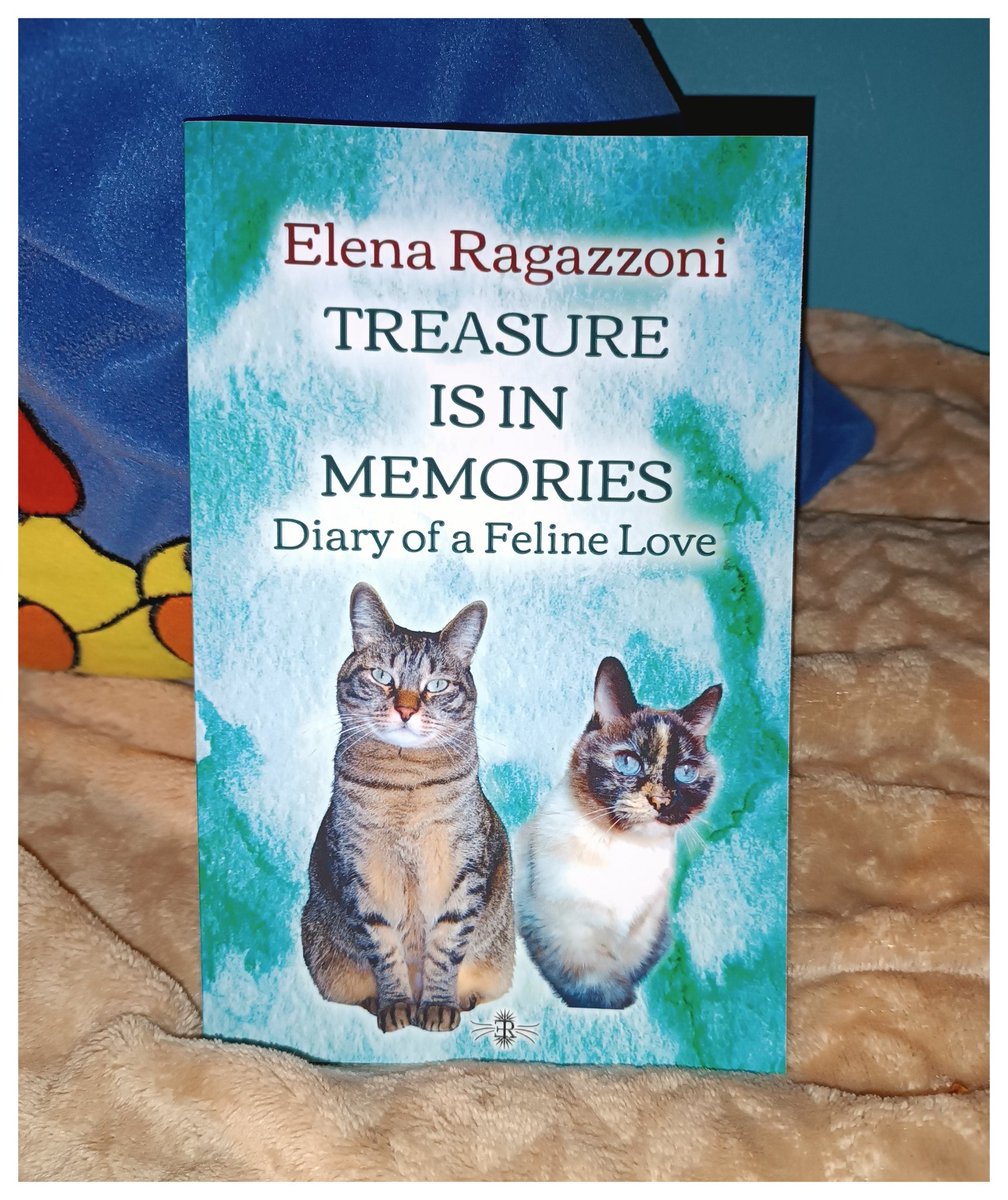 Happy late #WorldBookDay! Celebrate this day and this bookish weekend with your beloved cat and my book #TreasureIsInMemories for all those who love domestic felines! 💖🐈‍⬛
#bookstagrammers #bookrecommendations📚❣️