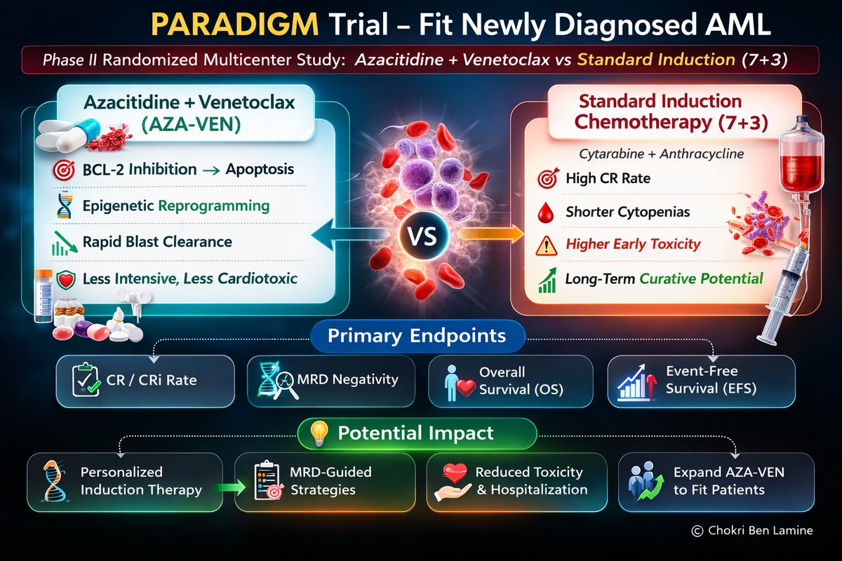 Dr. Chokri Ben Lamine tweet media