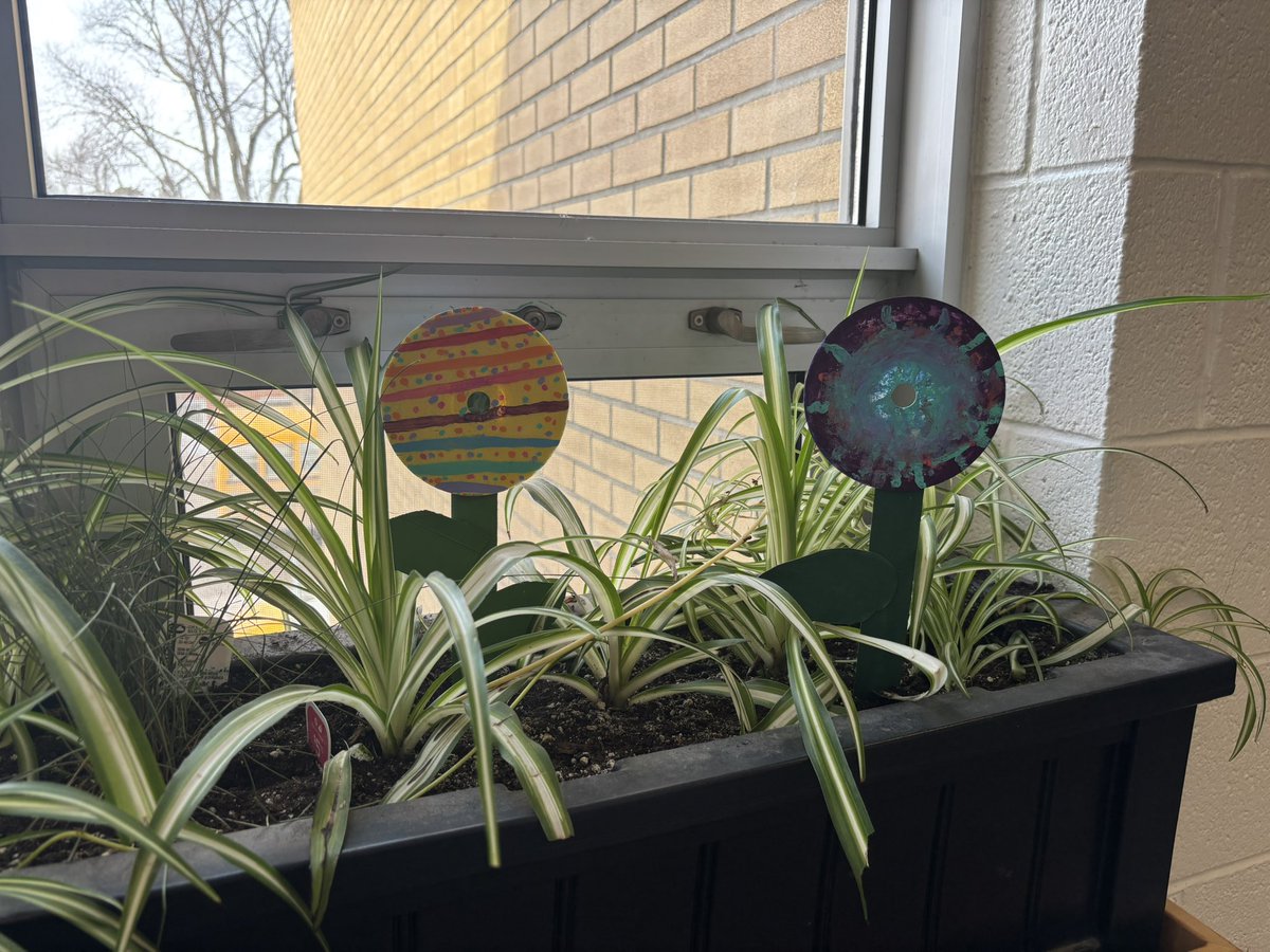 Mr. Cook tweet media