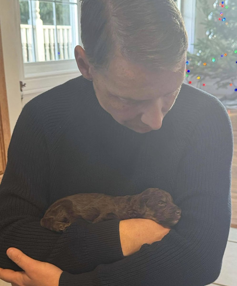 Mike Shoreman tweet media