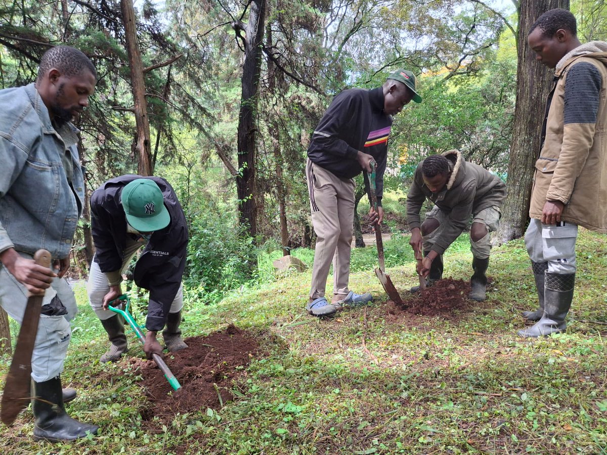 Min. del P.P. para Relaciones Exteriores tweet media