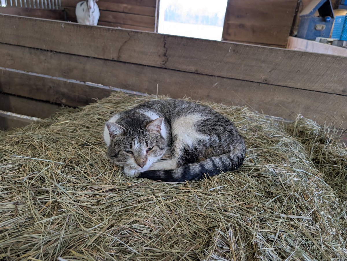 Joe Wilkins tweet media