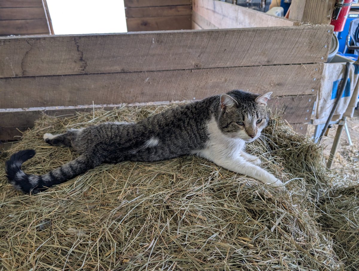 Joe Wilkins tweet media